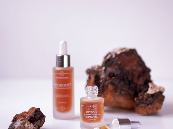 Chaga mushroom – a folk remedy for rejuvenating skin